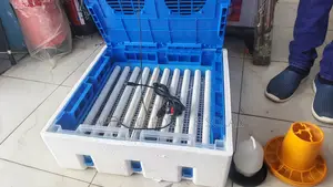 64 Eggs Capacity Automatic Incubator With Auto Turning for Poultry .