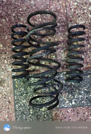 Mercedes Benz W202 Springs