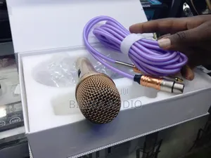 Top Quality Golden Pro Sound Microphone
