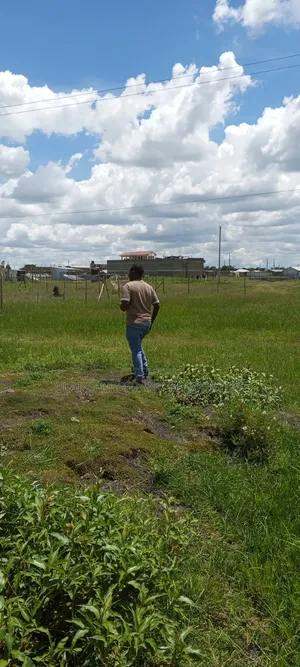 Ready Title 50*100 Kimalat-Kitengela Plots