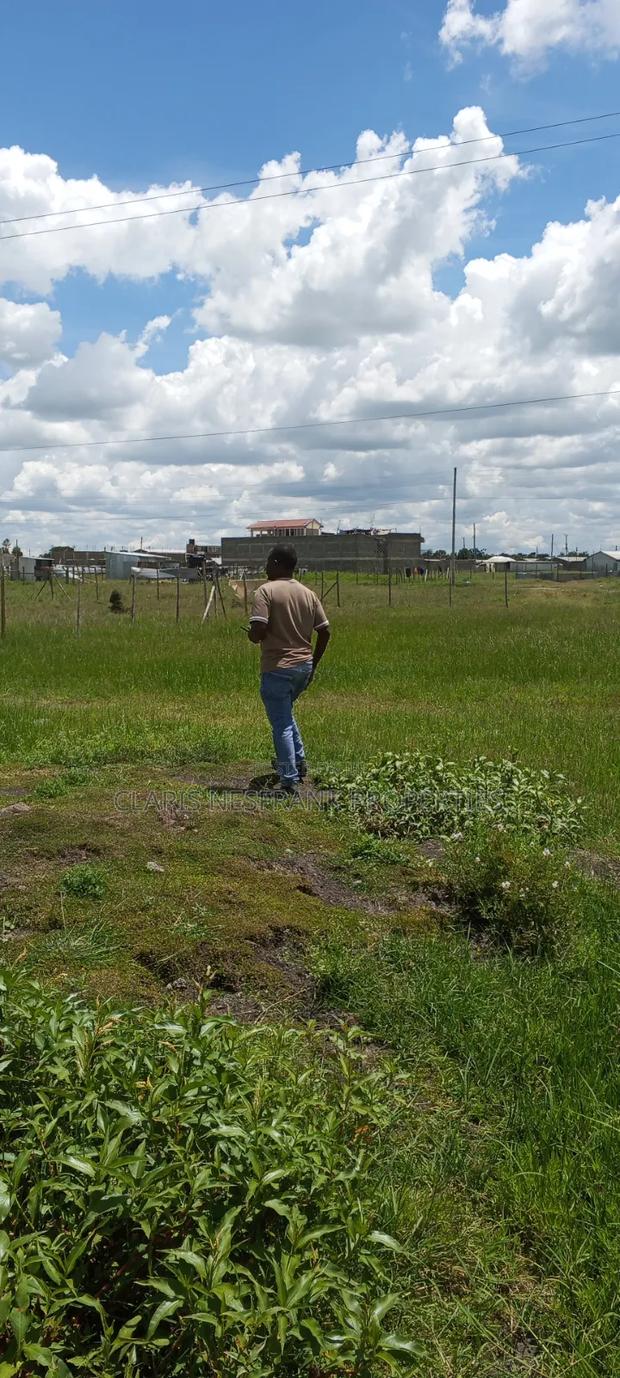Ready Title 50*100 Kimalat-Kitengela Plots - thumbnail 4