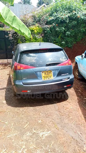 Toyota Caldina 2004 Gray