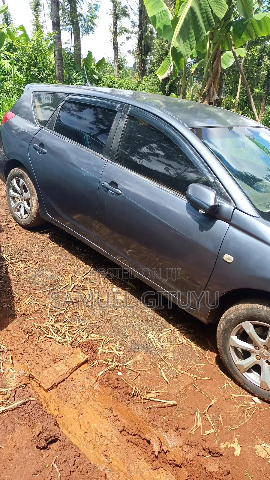 Toyota Caldina 2004 Gray