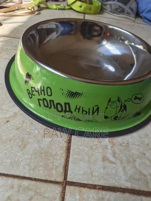 Dogs / Puppies