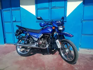 Shineray XY200-23 2010 Blue