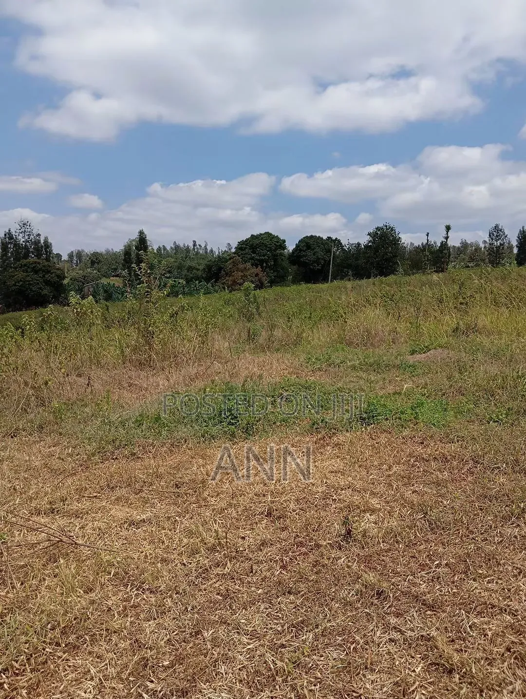 Kenyatta Road Plot on Sale