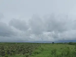 Prime Affordable 30-Acre Fertile Ranches in Malindi