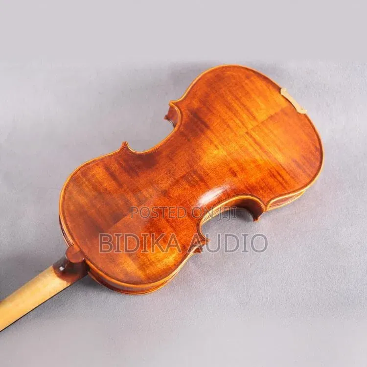 Professional Violins 4/4 For Pro Violinists