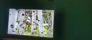 Smart Tv 43 inches