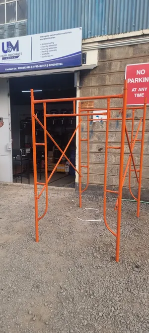 Scaffolding Ladder /Construction Ladder