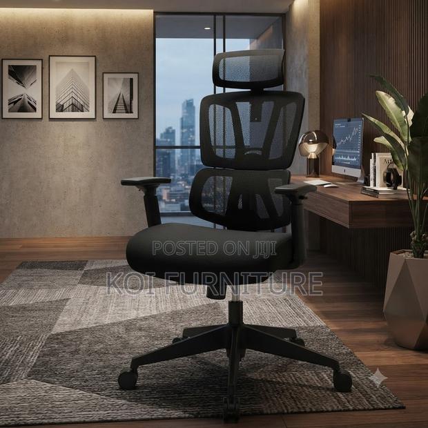 Office Chairs; Office Professionals Orthopedic Chairs - thumbnail 3