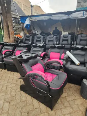 Pink Sink Salon Chair