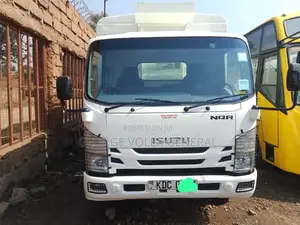 Isuzu Nqr Truck