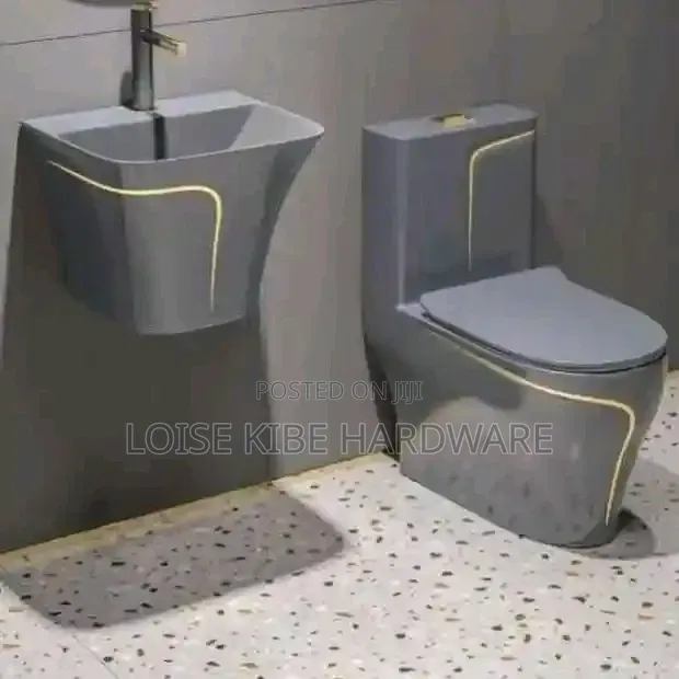 New Arrivals Toilet Available
