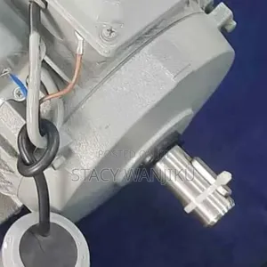 Well Performing Motor 2hp