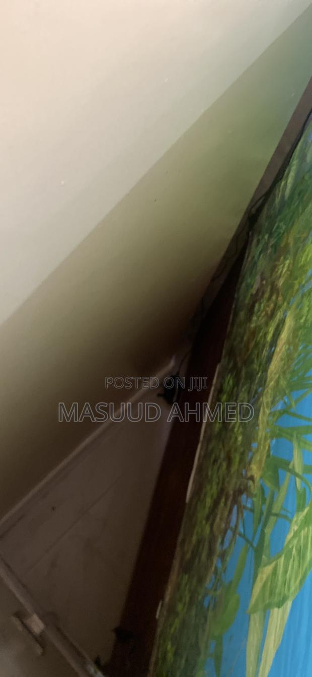 Complete Glass Fish Tank Aquarium With Wooden Storage Cabinet Stand - thumbnail 5