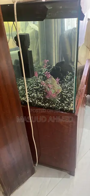 Complete Glass Fish Tank Aquarium With Wooden Storage Cabinet Stand