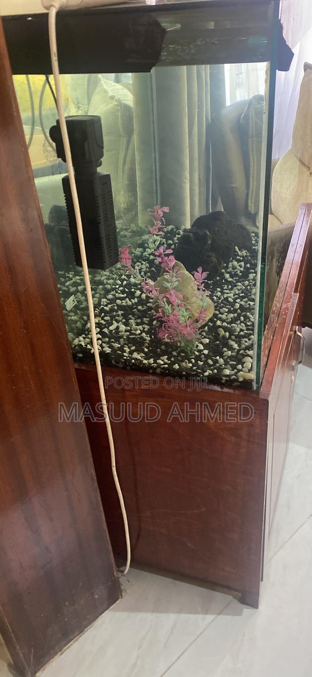 Complete Glass Fish Tank Aquarium With Wooden Storage Cabinet Stand - thumbnail 3