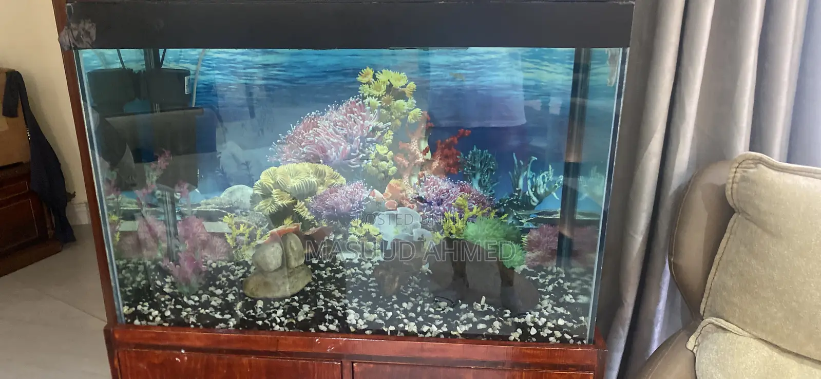 Complete Glass Fish Tank Aquarium With Wooden Storage Cabinet Stand