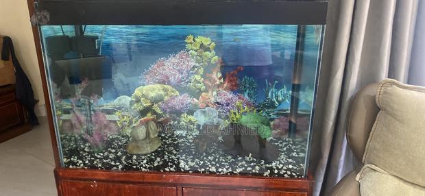 Complete Glass Fish Tank Aquarium With Wooden Storage Cabinet Stand - main view