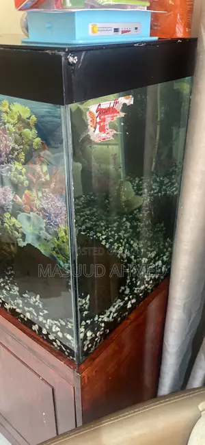 Complete Glass Fish Tank Aquarium With Wooden Storage Cabinet Stand