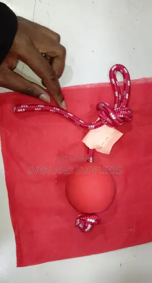 Dog Training Ball On Rope Red And White