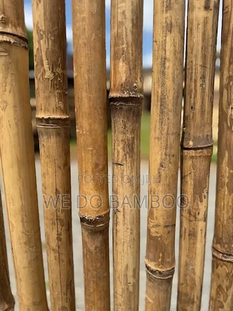 Bamboo Privacy Screen