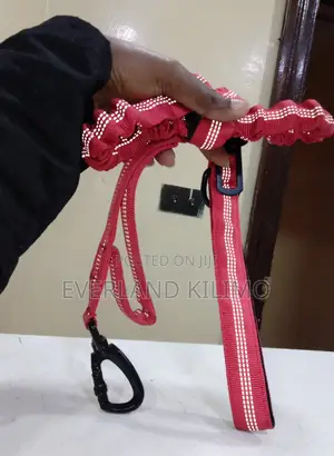Shock Absorbing No Pull Dog Leash