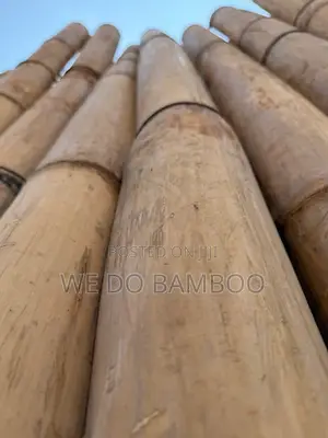 Treated Bamboo Poles