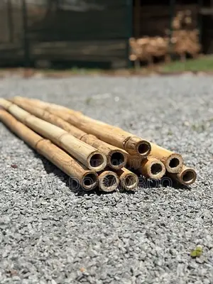 Treated Bamboo Poles