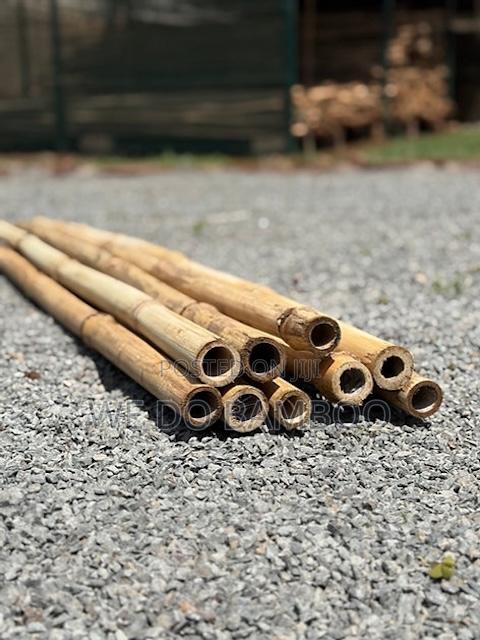 Treated Bamboo Poles - thumbnail 4