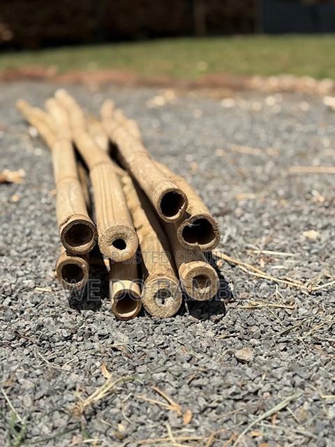 Treated Bamboo Poles - thumbnail 5