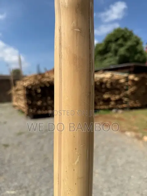 Treated Bamboo Poles