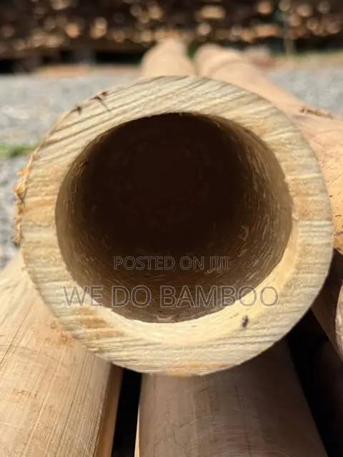 Treated Bamboo Poles