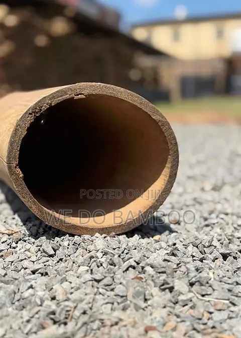 Treated Bamboo Poles