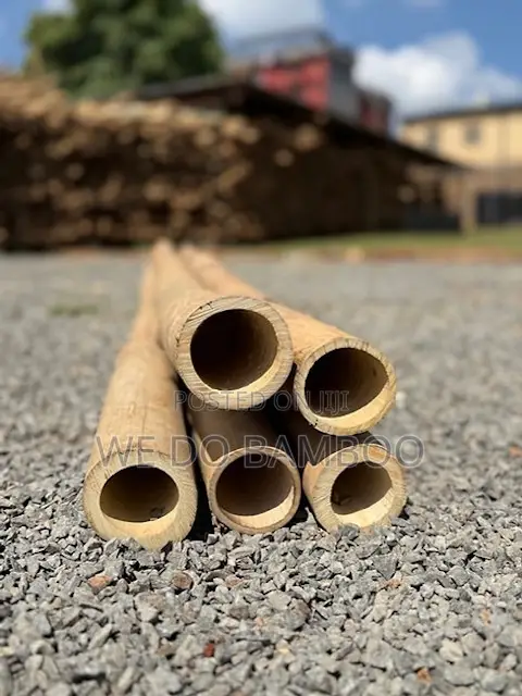 Treated Bamboo Poles