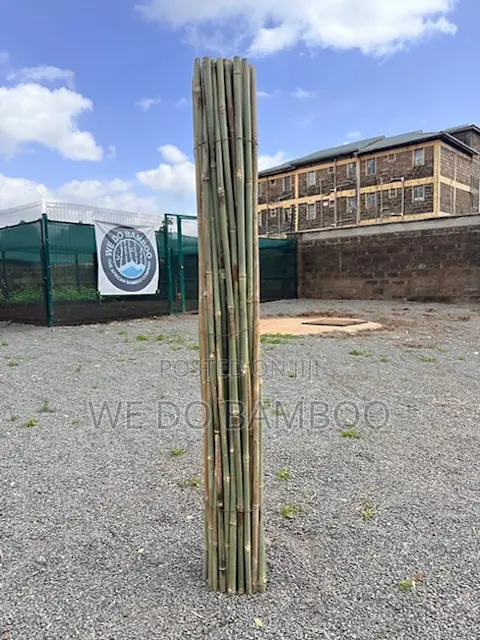 Treated Bamboo Poles