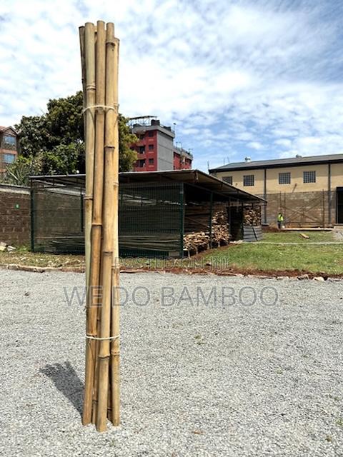 Treated Bamboo Poles - thumbnail 14