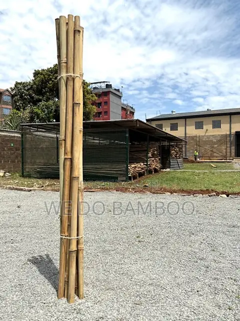 Treated Bamboo Poles