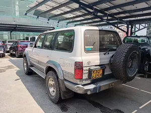 Toyota Land Cruiser 1995 Silver