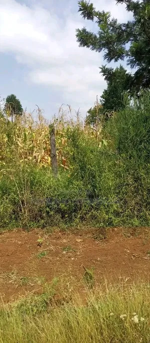 Prime 3 Acres for Sale in Kiserian.