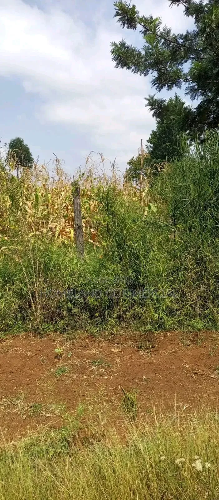 Prime 3 Acres for Sale in Kiserian.