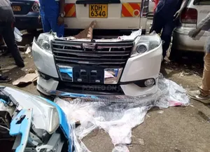 Toyota Noah and Vanguard Nosecut