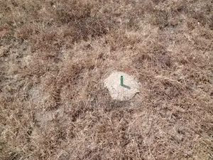 1/8 Plot in Upper Milimani