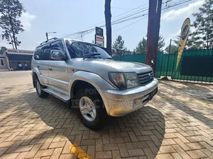 Toyota Land Cruiser 2001 Silver