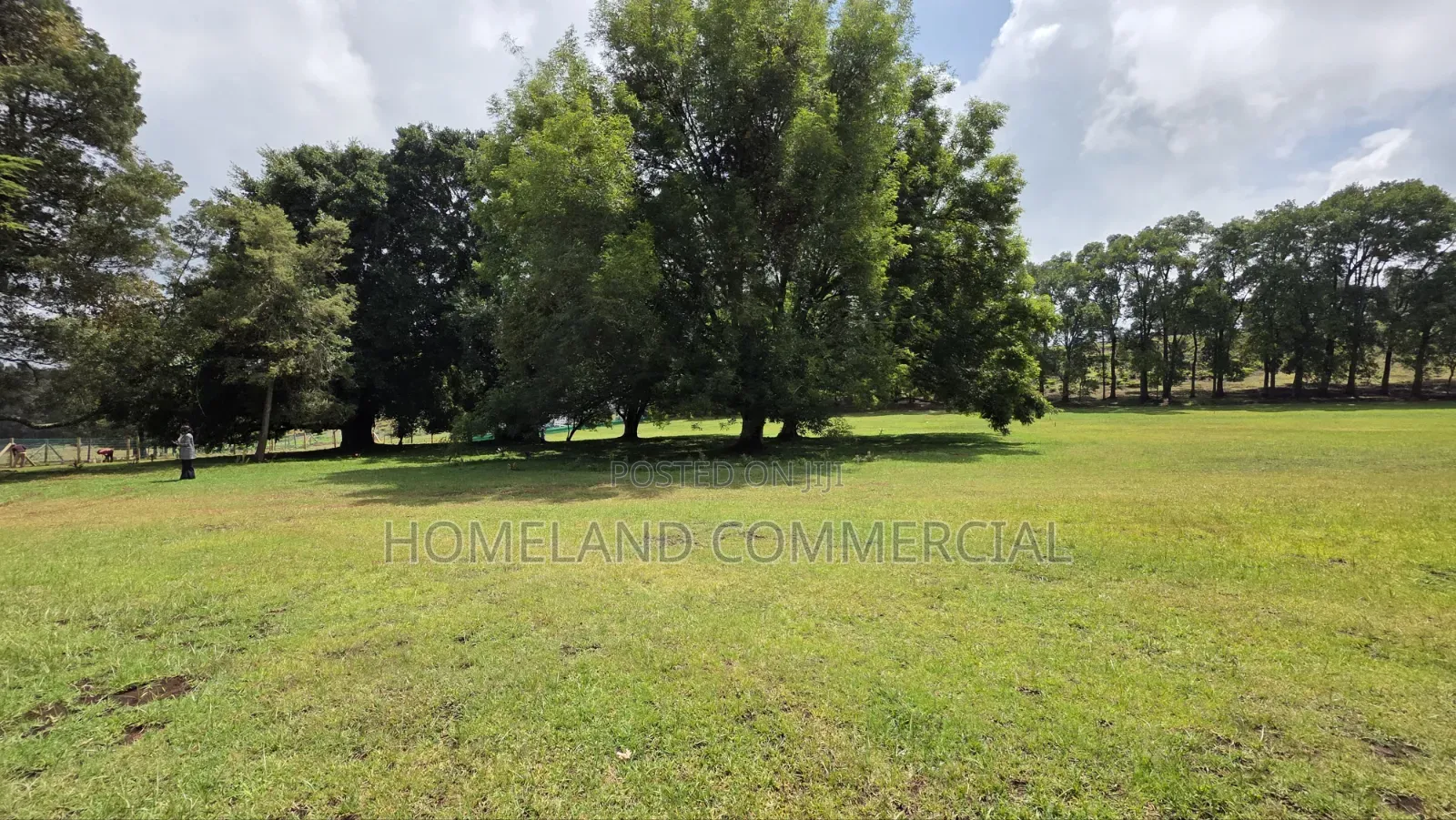 Land for Sale in Tigoni