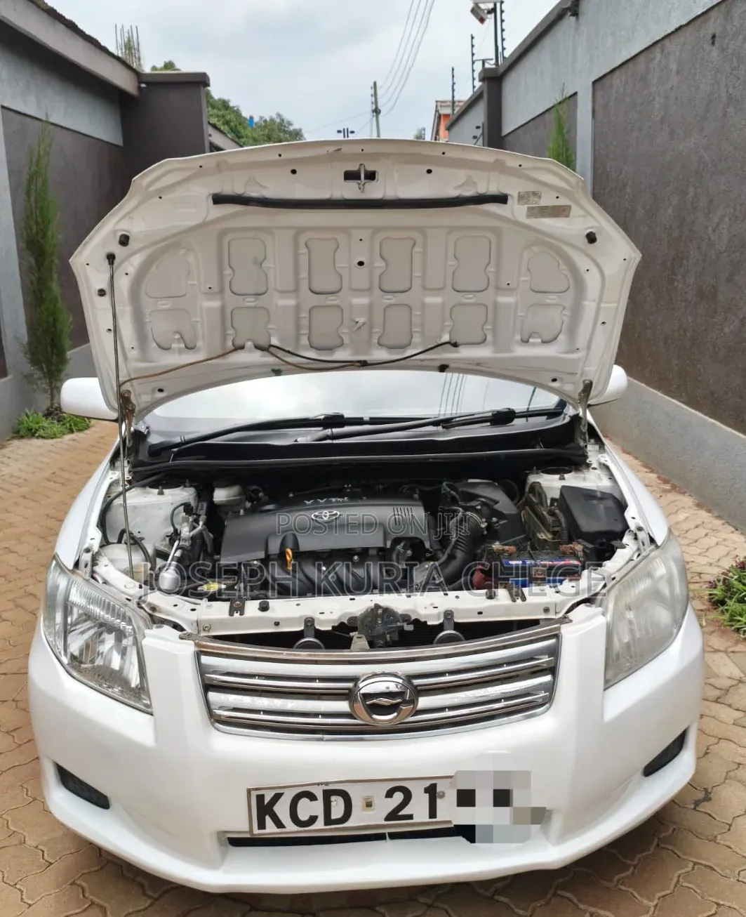 Toyota Axio 2008 White