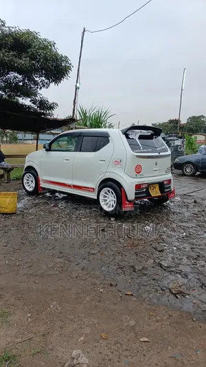 Suzuki Alto 2015 Pearl