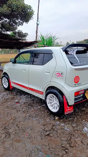 Suzuki Alto 2015 Pearl