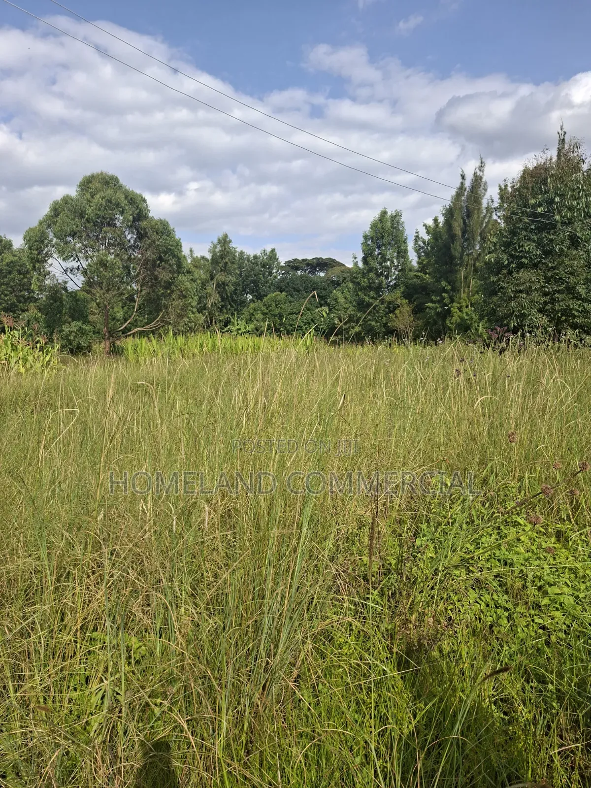 1/4 Land for Sale in Kabiria Mutweini Area